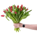 Kytice červených a bílých tulipánů